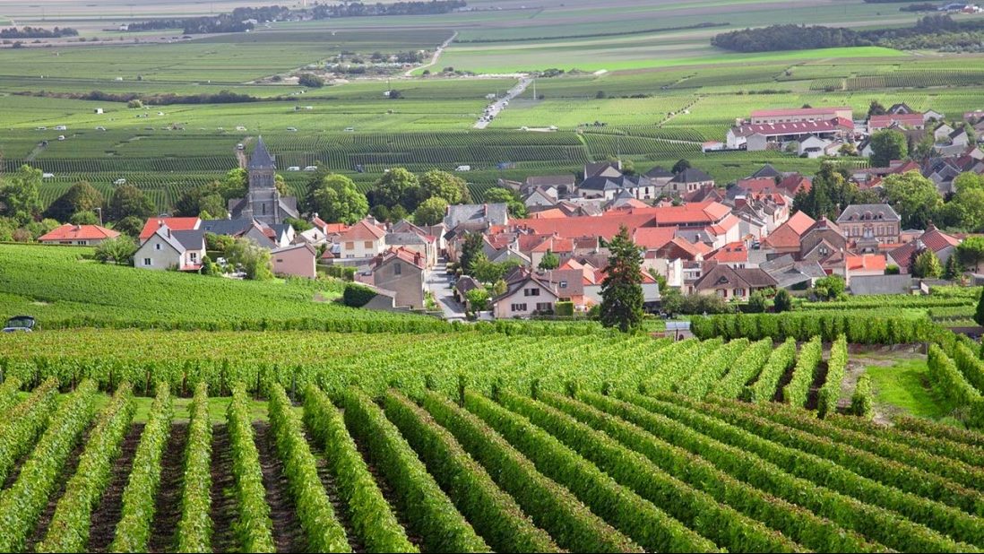 burgundy-france-vineyards-1